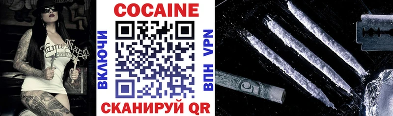 Купить закладки  Краснослободск  COCAIN 99% 