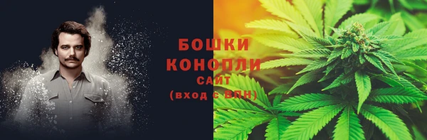 Альфа ПВП Горно-Алтайск