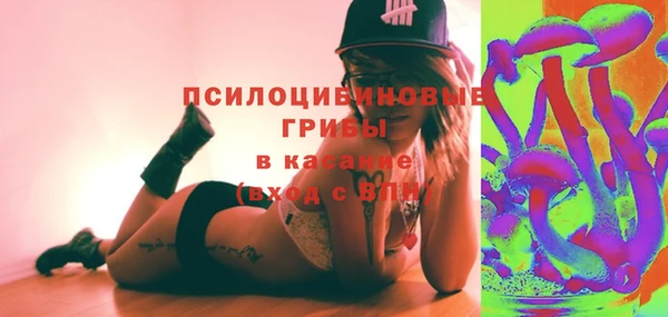 твердый Гусиноозёрск