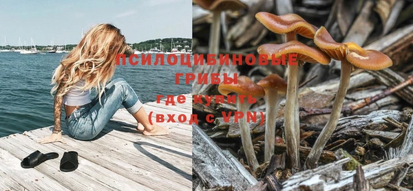твердый Гусиноозёрск