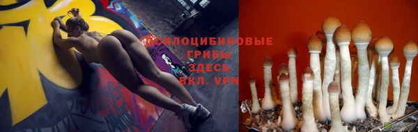 твердый Гусиноозёрск