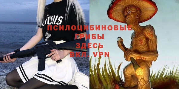 бутират Гусь-Хрустальный