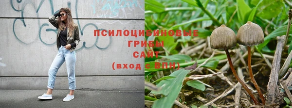 ECSTASY Гусев