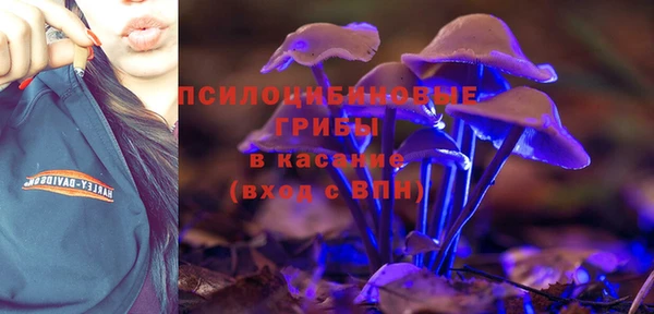 твердый Гусиноозёрск