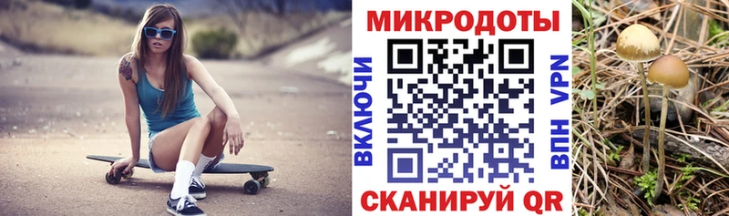 Псилоцибиновые грибы MAGIC MUSHROOMS  Купить  Краснослободск 